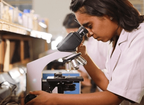 exploring-research