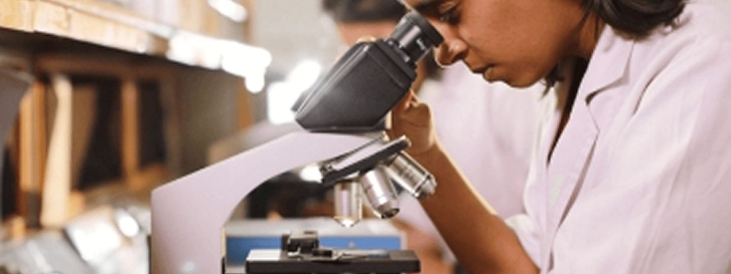 Research Program